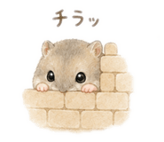 844592894