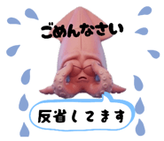 844592991