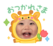 844593491