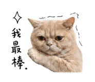 844604753