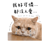 844604784