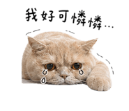 844604787