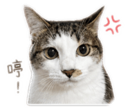 844604873