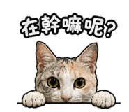 844605762