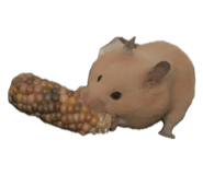 844606069