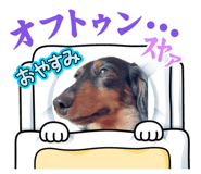 844606630