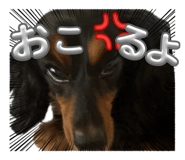 844606634