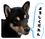 844606712