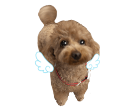 844606925