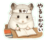 844606999