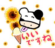 844608084