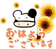 844608085