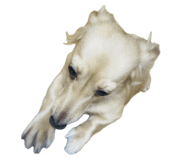 844608574