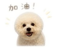 844611094