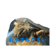 844611228