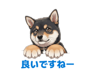 844611240