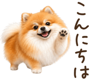 844612066