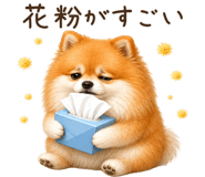 844612080
