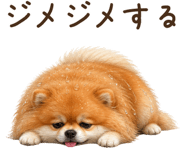 844612084
