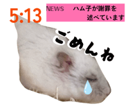 844612522