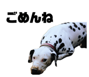 844612732