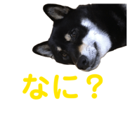 844612738