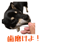 844612742