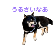 844612744