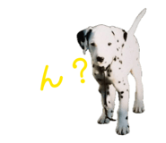 844612750