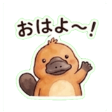 844624353