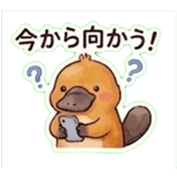 844624372