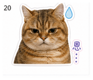 844625397