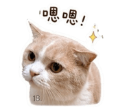 844625678