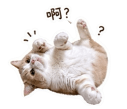 844625680