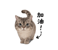 844626086