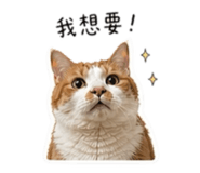 844626180