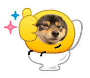 844626479