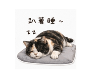844626592