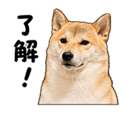 844626729