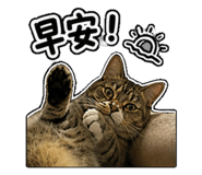 844626953
