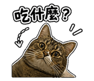 844626955