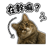 844626959