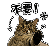 844626964