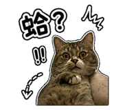 844626967