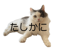 844627578