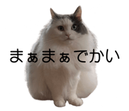 844627579