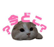 844627593