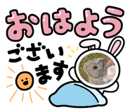 844628298