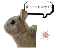 844628312