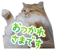 844628352